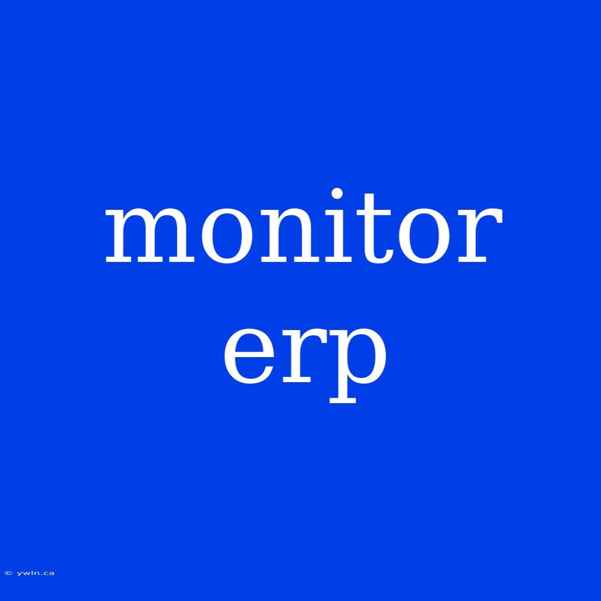 Monitor Erp