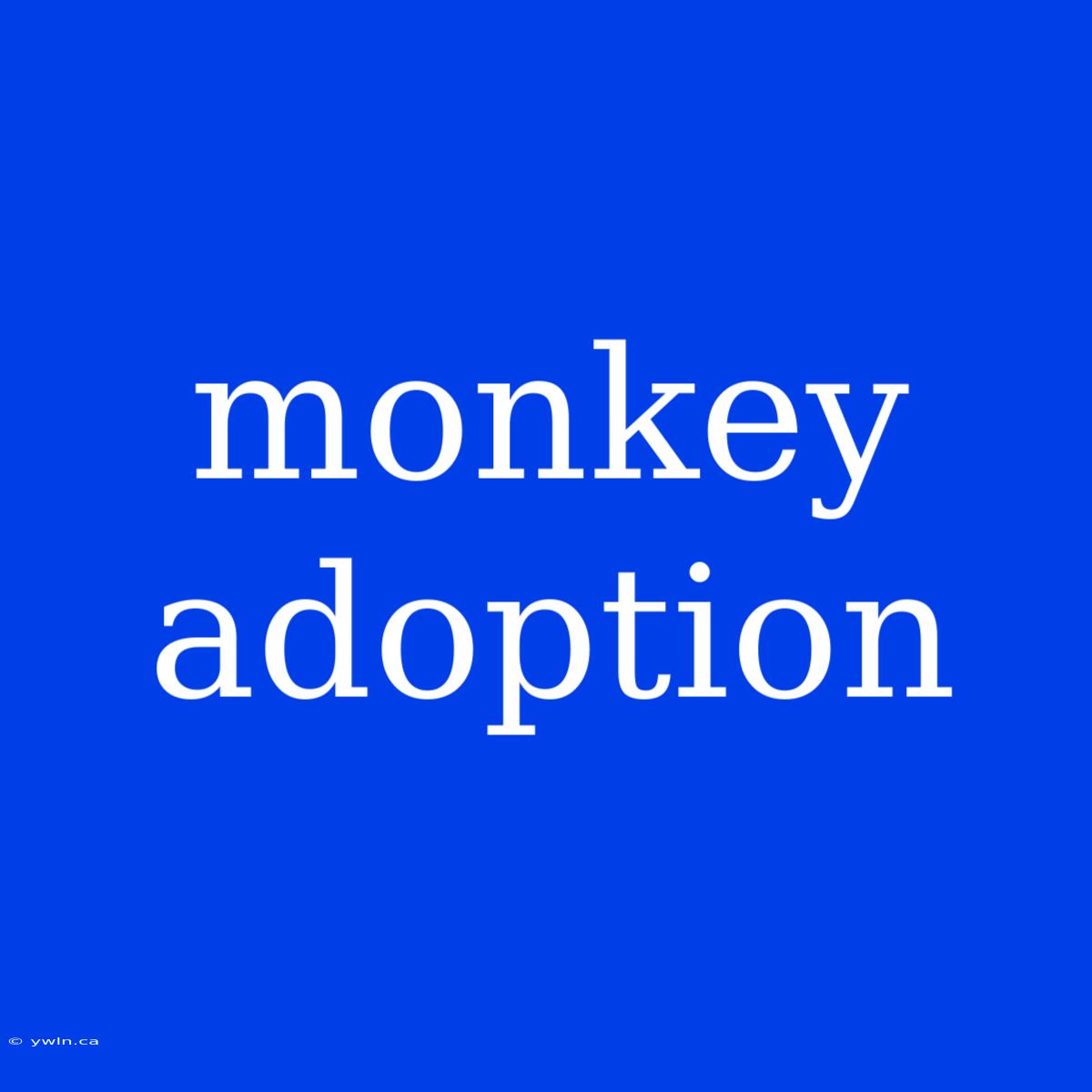 Monkey Adoption