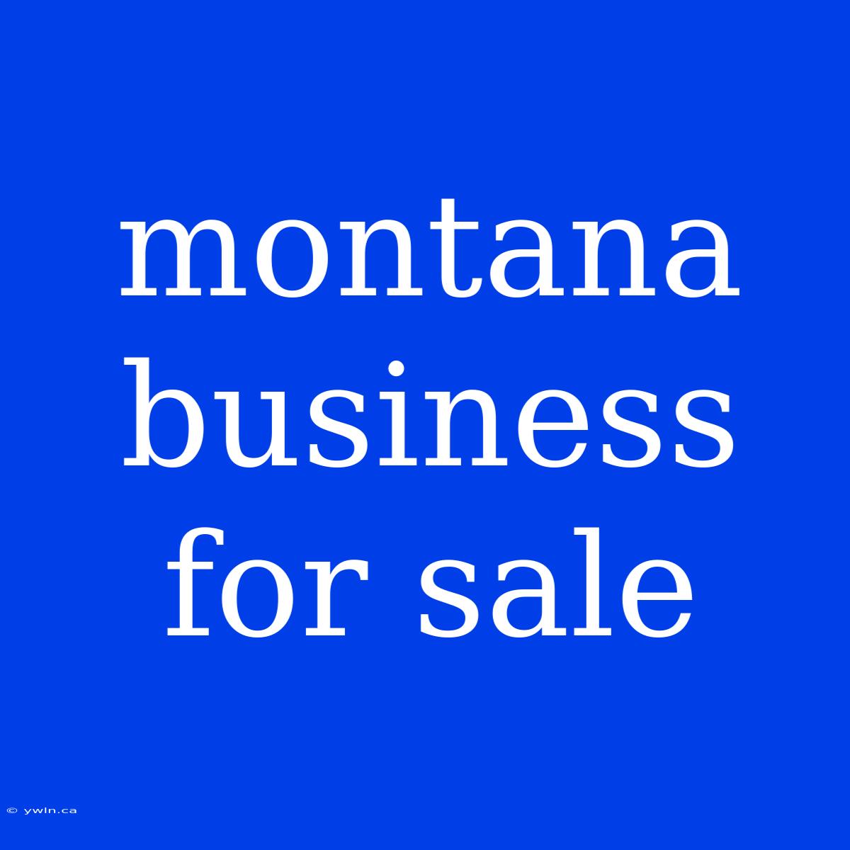 Montana Business For Sale