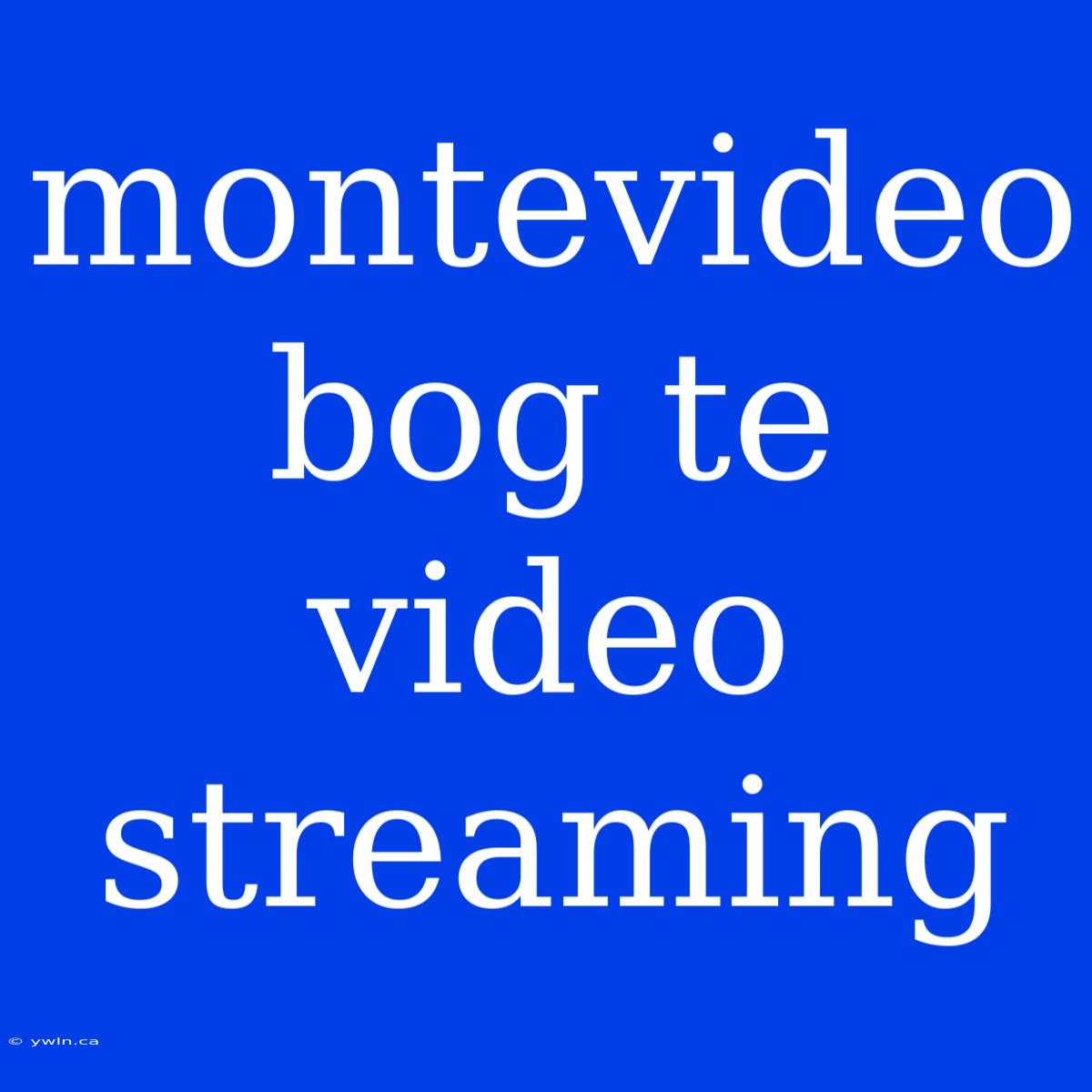 Montevideo Bog Te Video Streaming