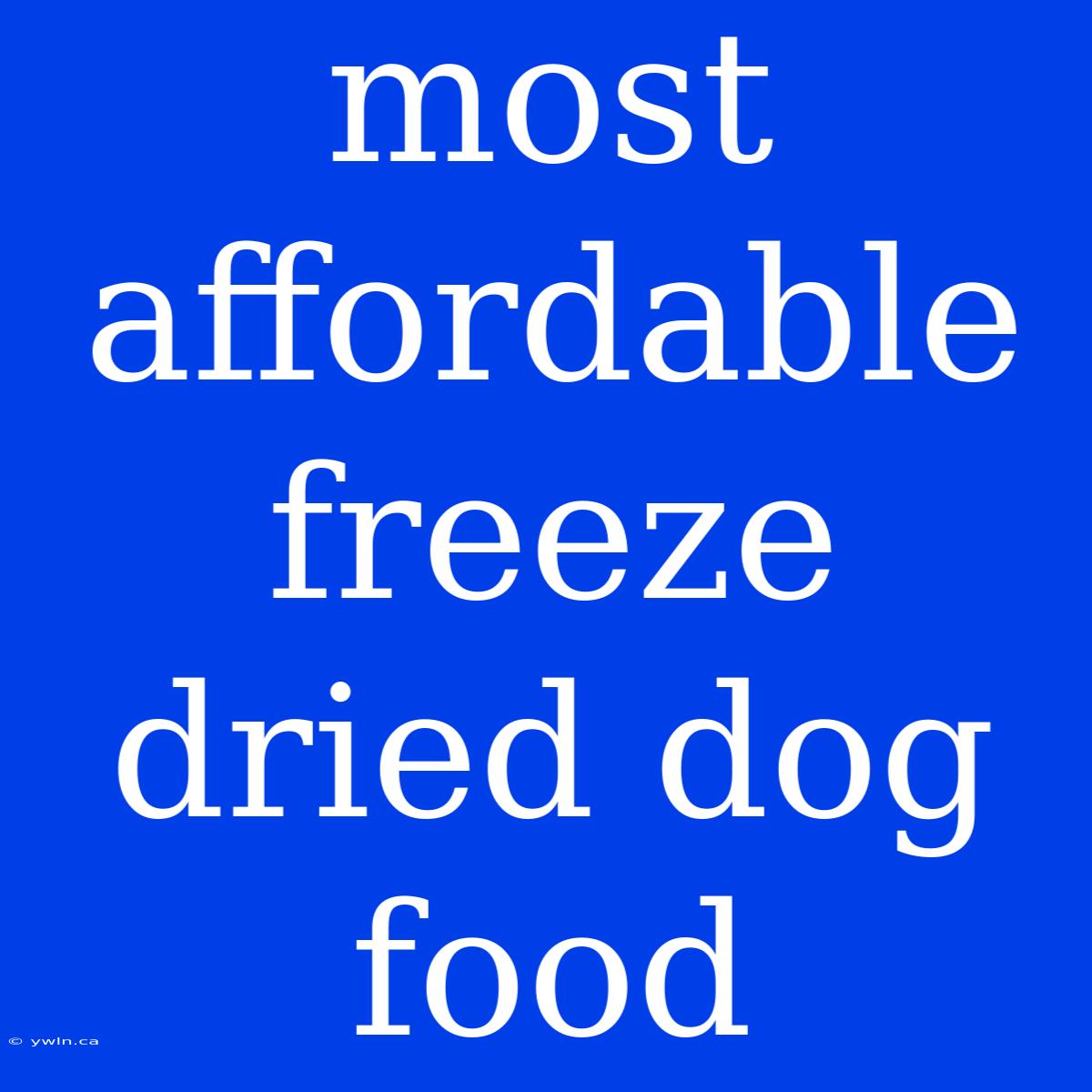 Most Affordable Freeze Dried Dog Food