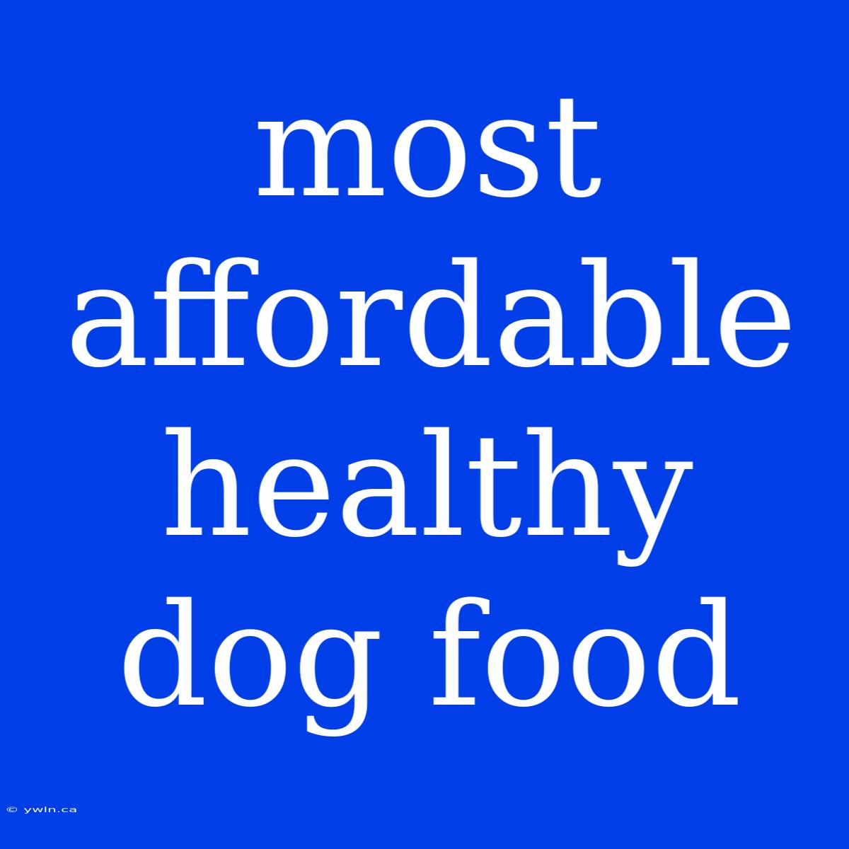 Most Affordable Healthy Dog Food