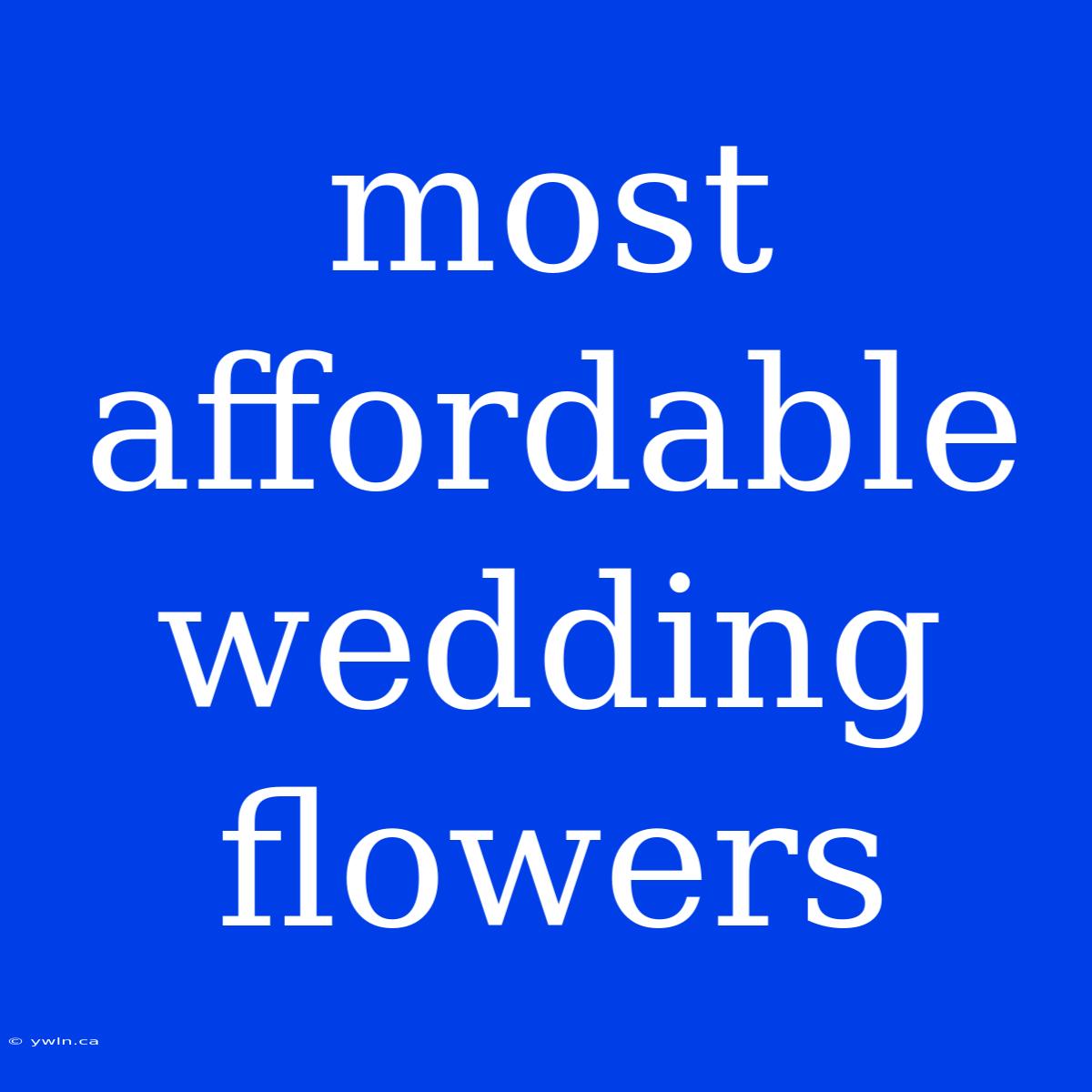 Most Affordable Wedding Flowers