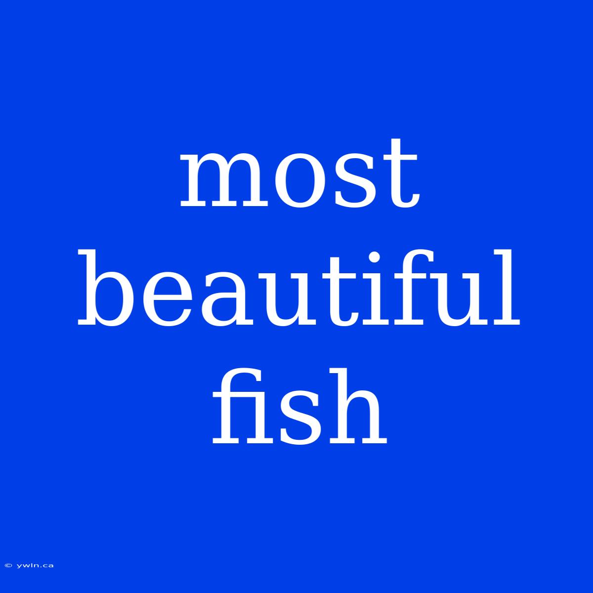 Most Beautiful Fish