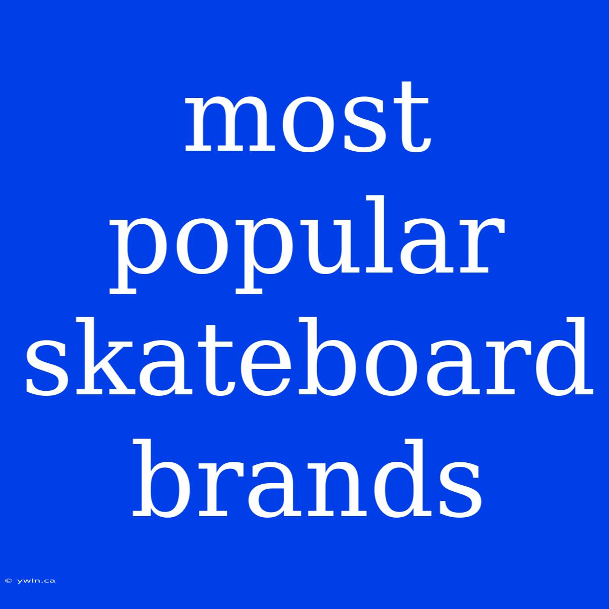 Most Popular Skateboard Brands