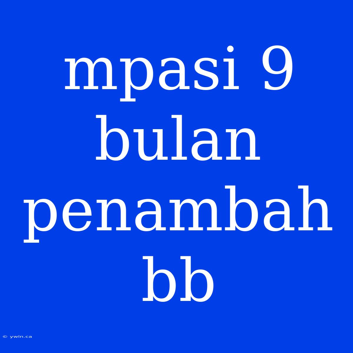 Mpasi 9 Bulan Penambah Bb