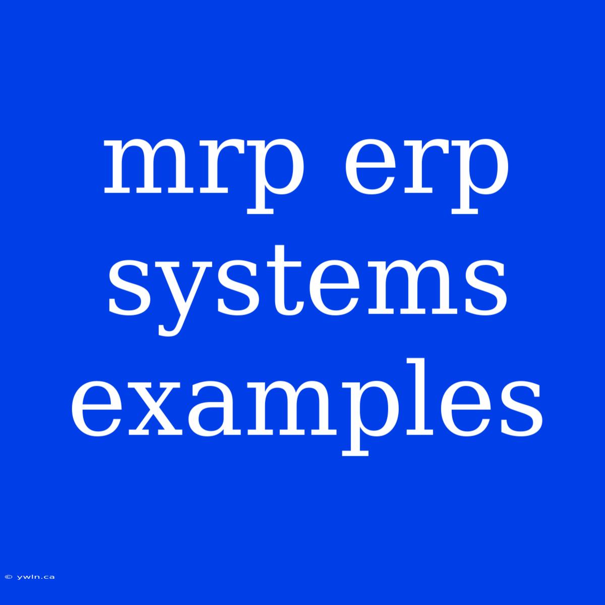 Mrp Erp Systems Examples