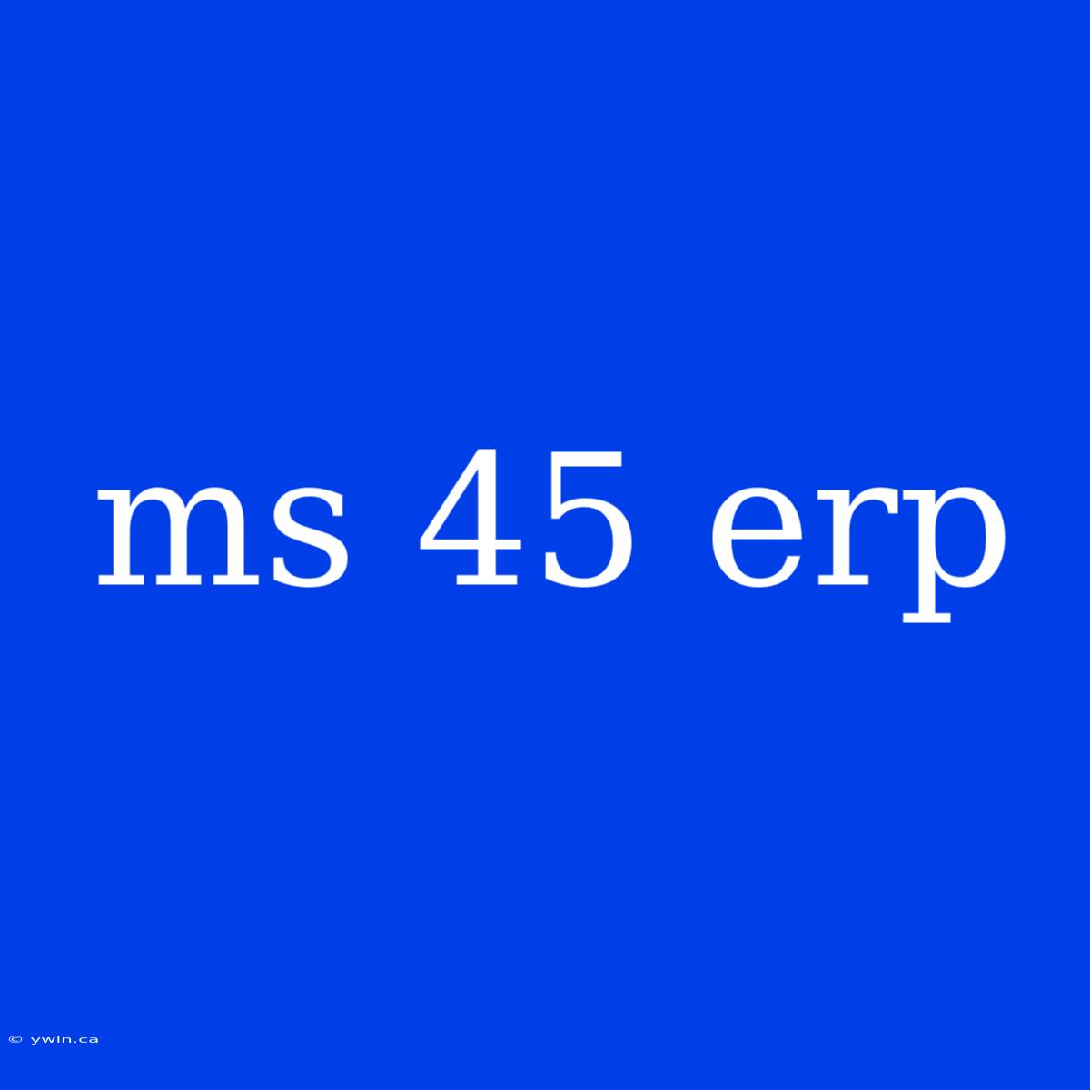 Ms 45 Erp