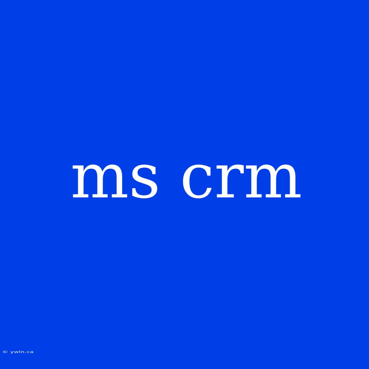 Ms Crm