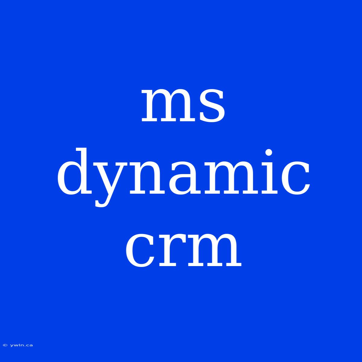 Ms Dynamic Crm