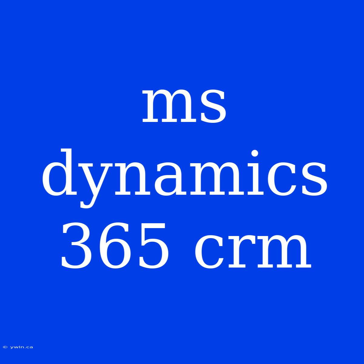 Ms Dynamics 365 Crm