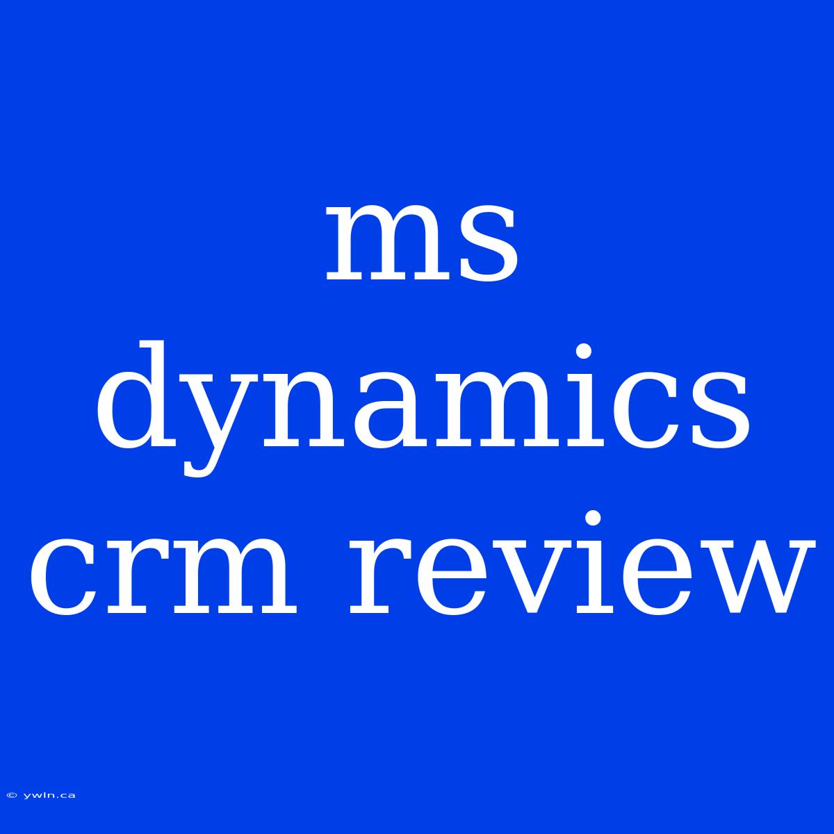 Ms Dynamics Crm Review