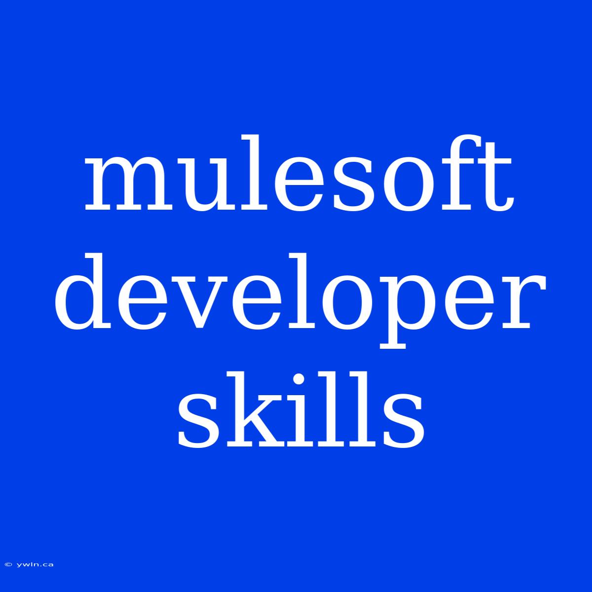 Mulesoft Developer Skills