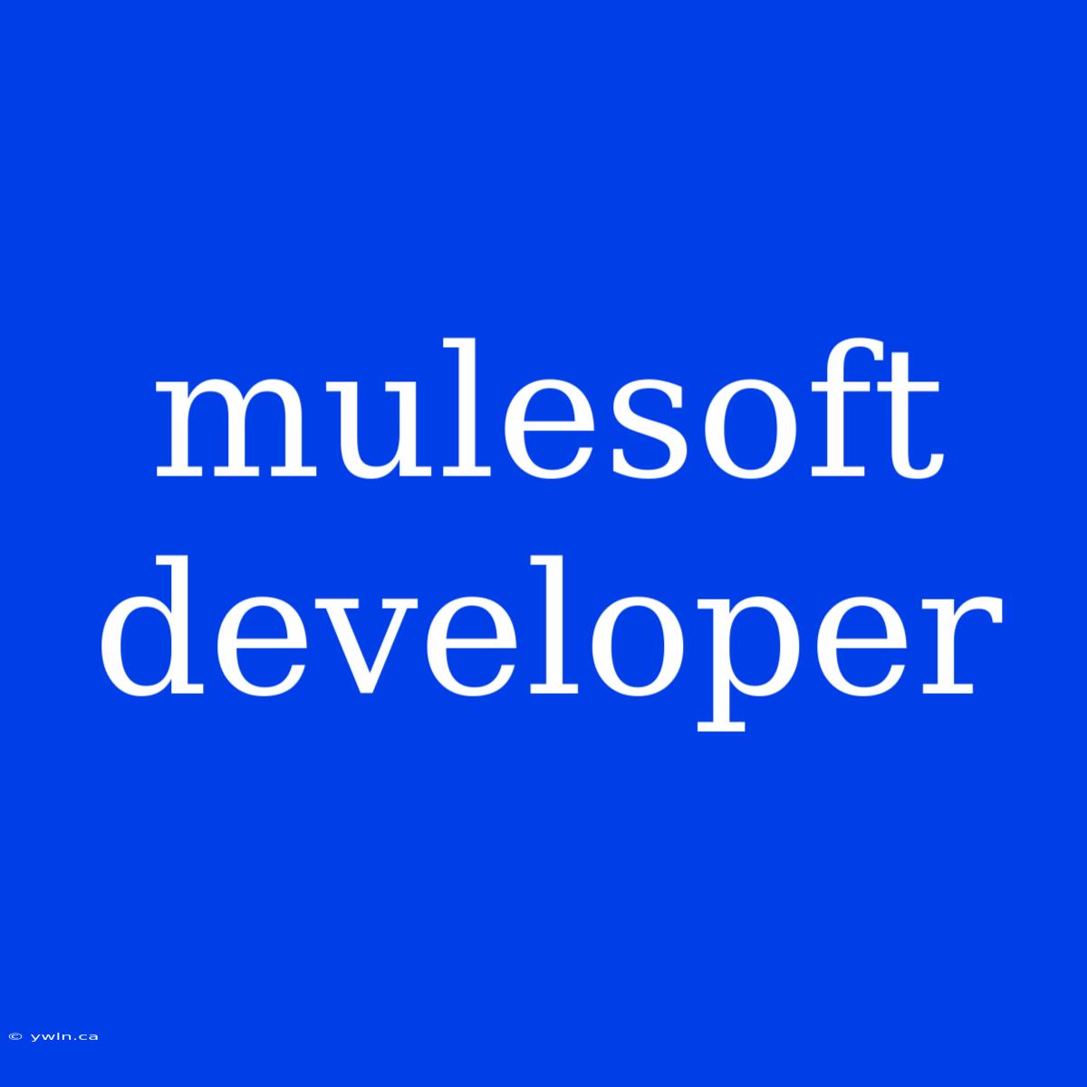 Mulesoft Developer