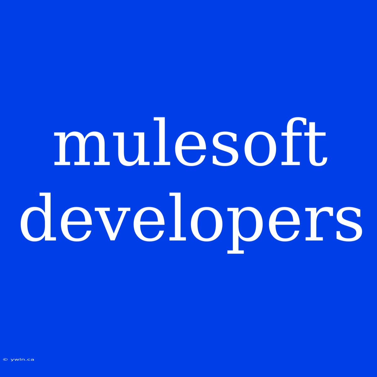 Mulesoft Developers