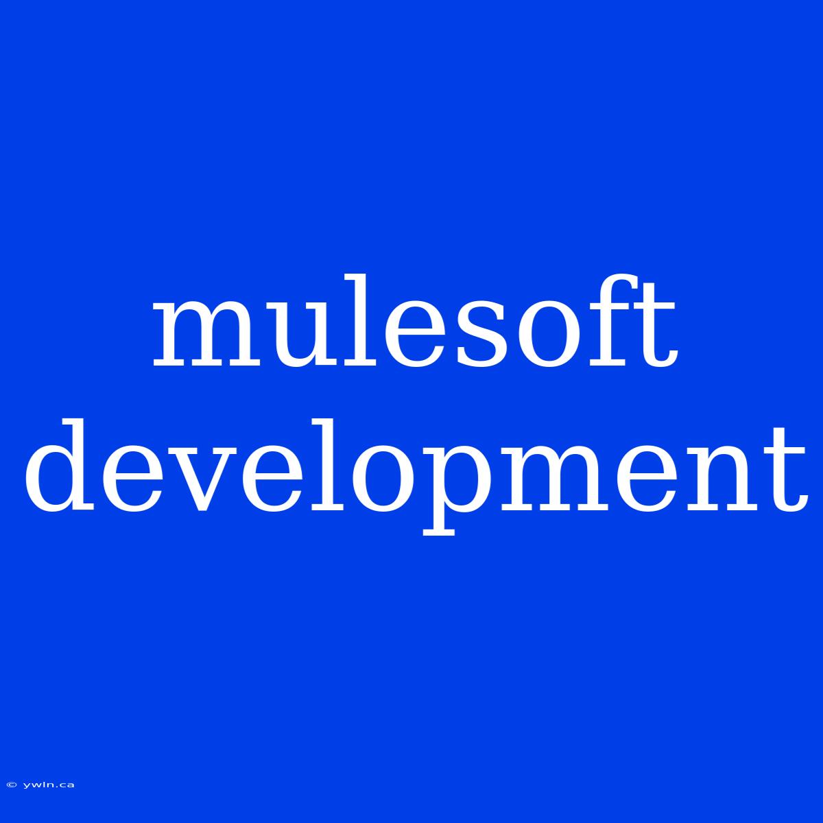 Mulesoft Development