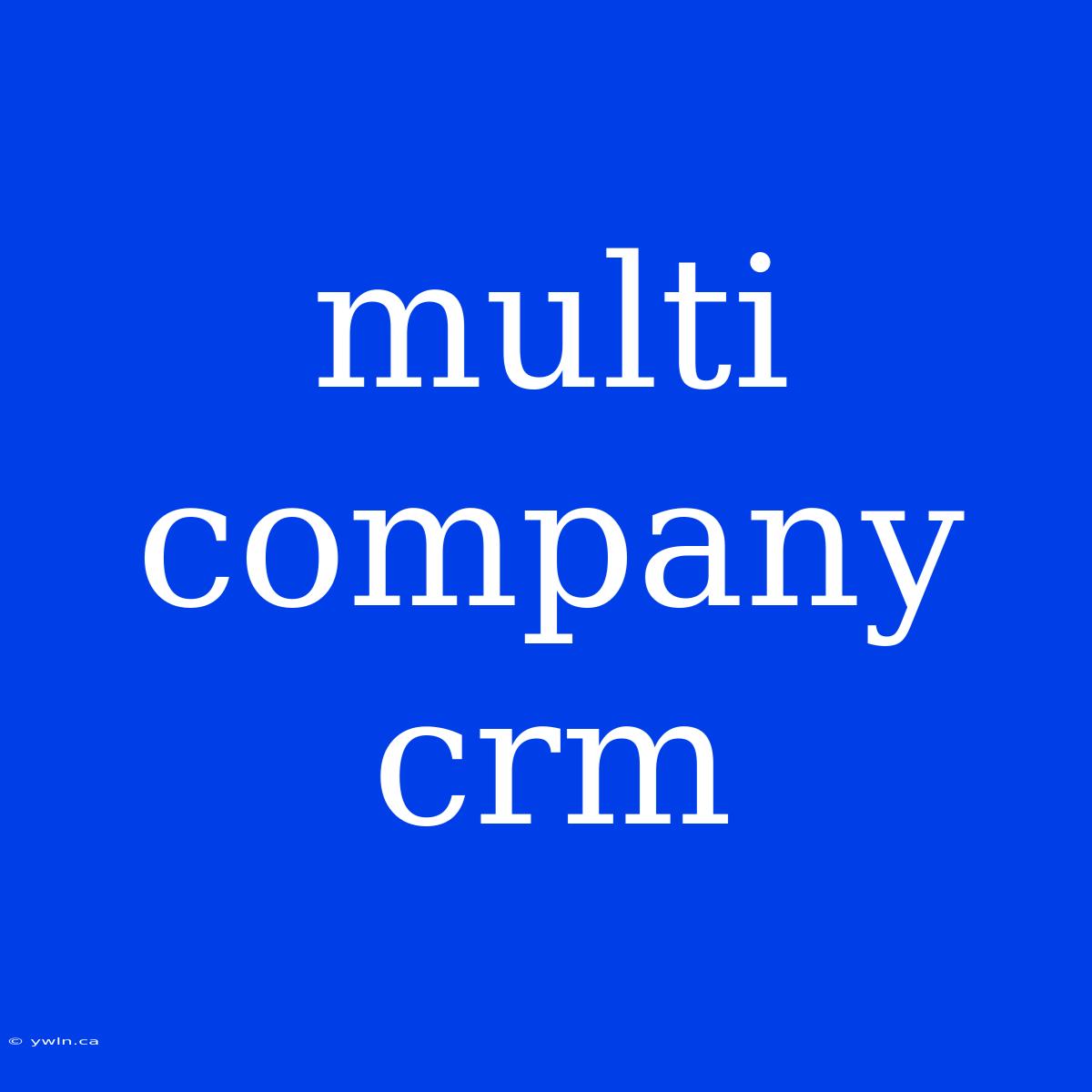 Multi Company Crm