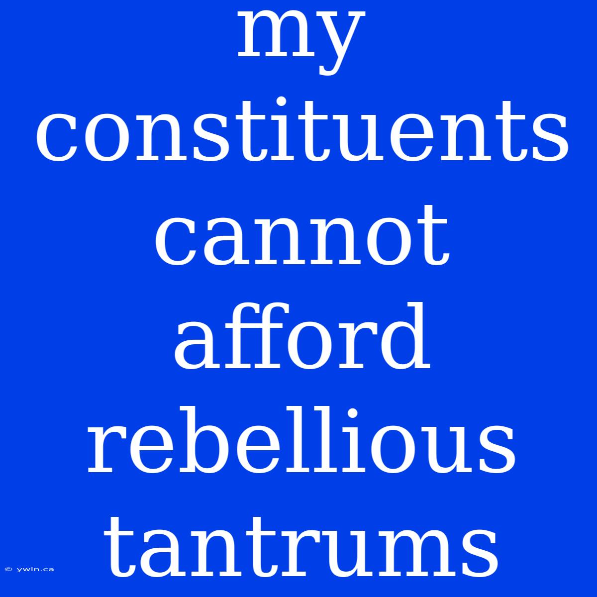 My Constituents Cannot Afford Rebellious Tantrums