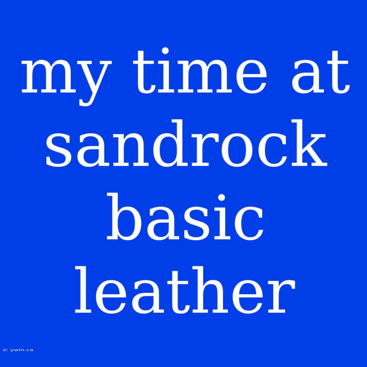 My Time At Sandrock Basic Leather