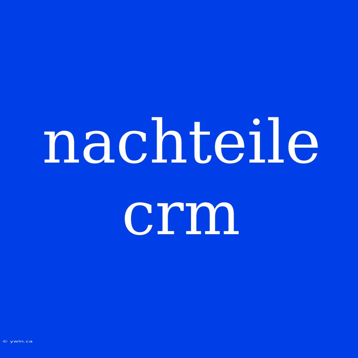 Nachteile Crm