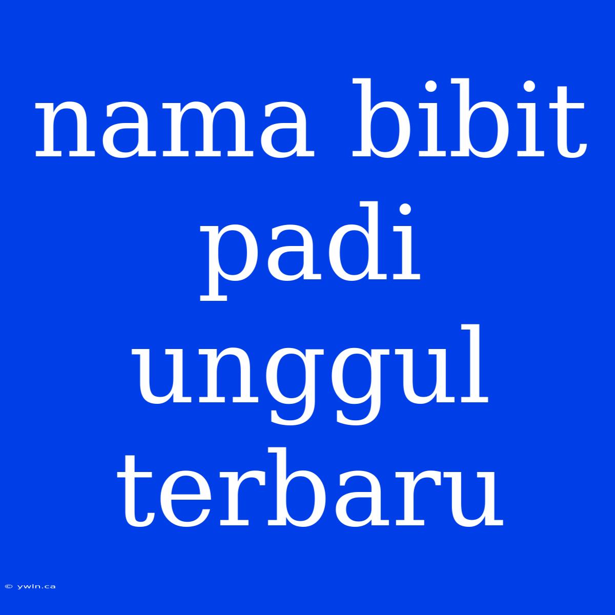 Nama Bibit Padi Unggul Terbaru