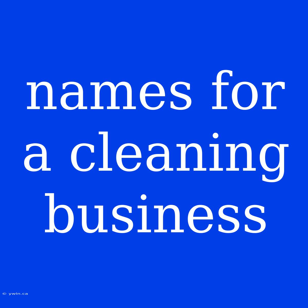 Names For A Cleaning Business