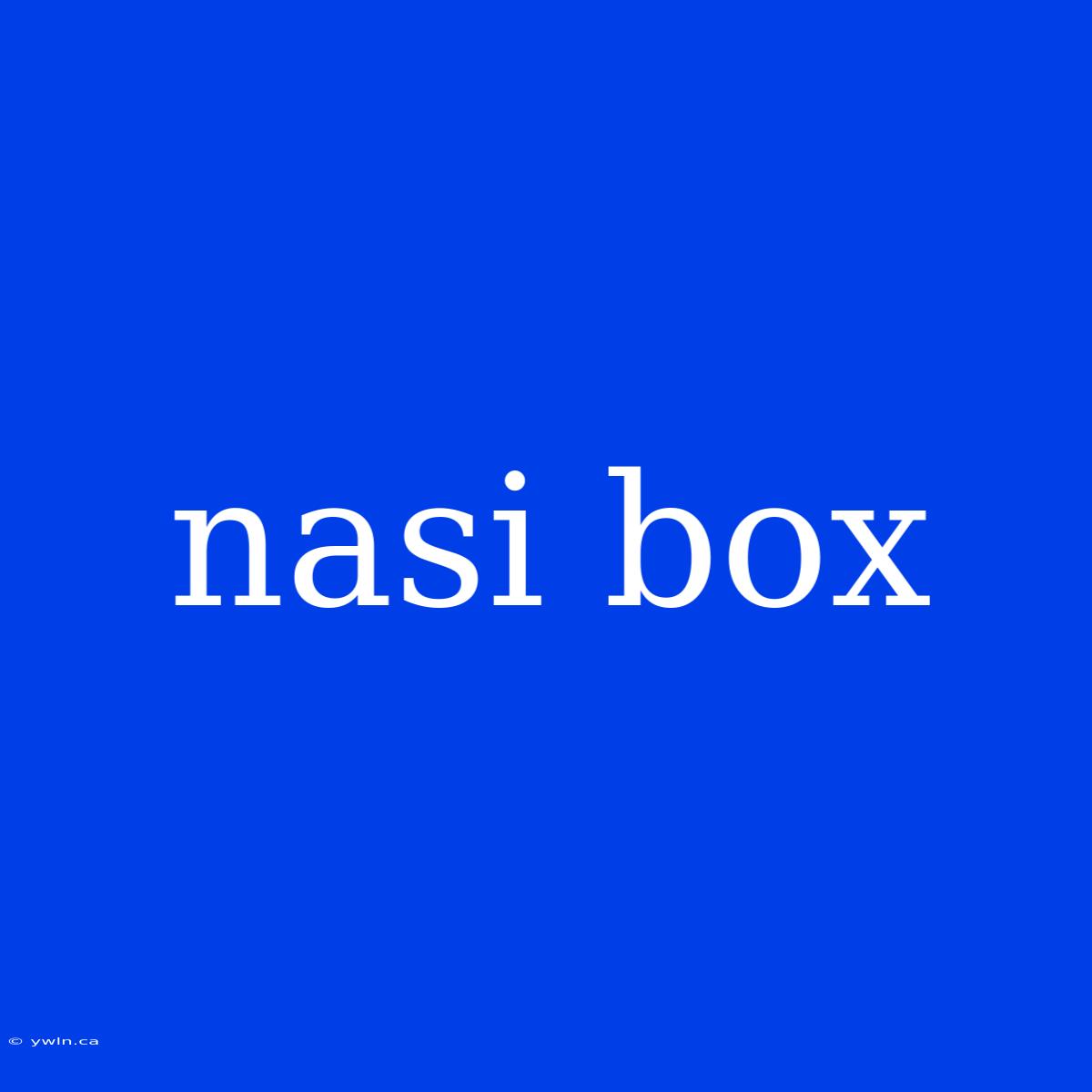 Nasi Box