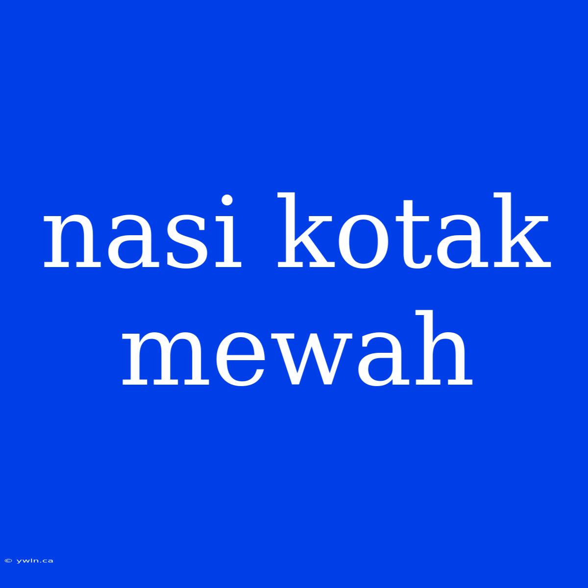 Nasi Kotak Mewah