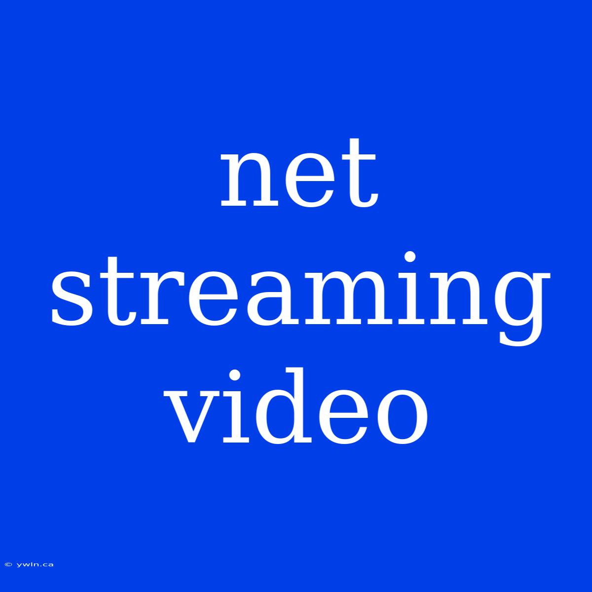 Net Streaming Video