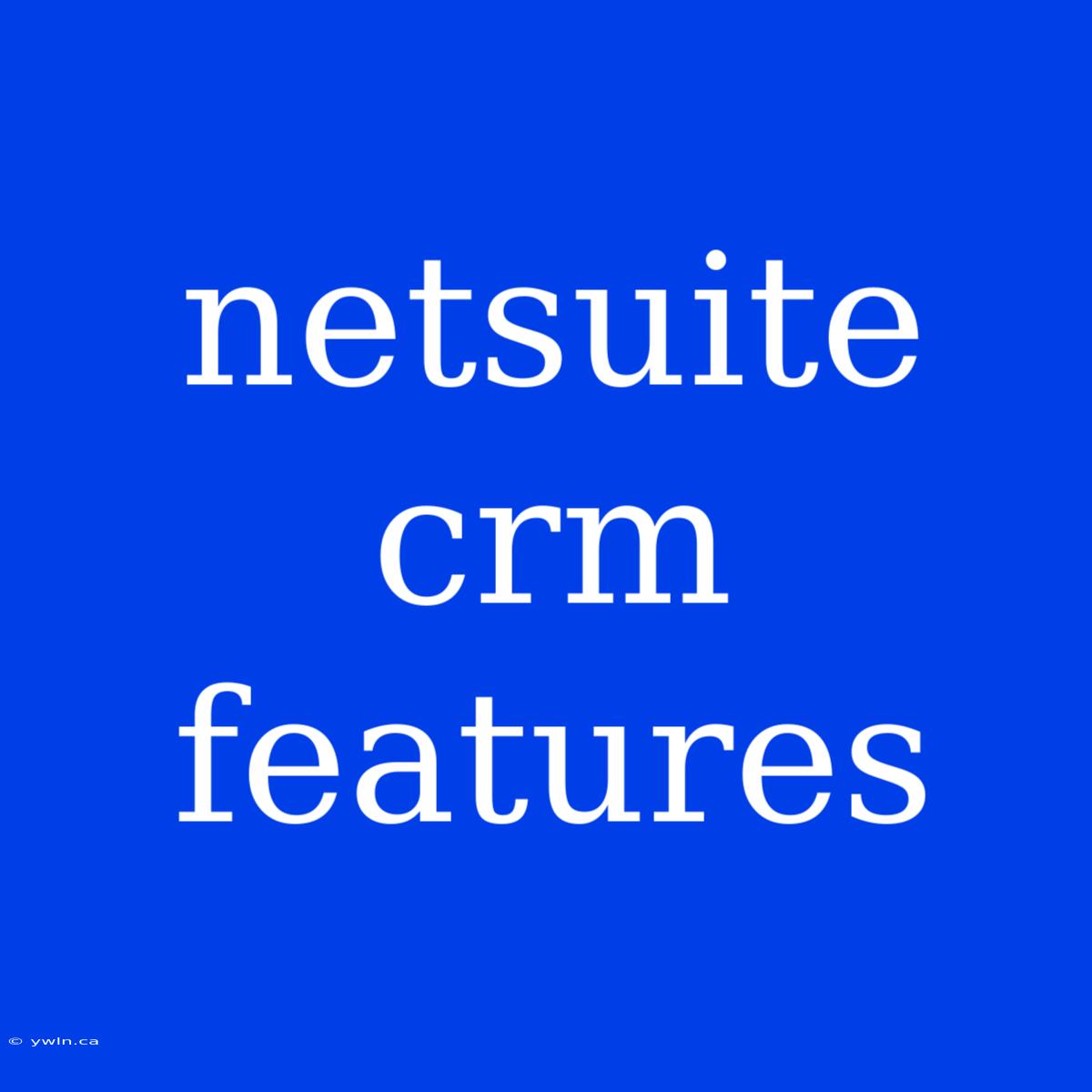 Netsuite Crm Features