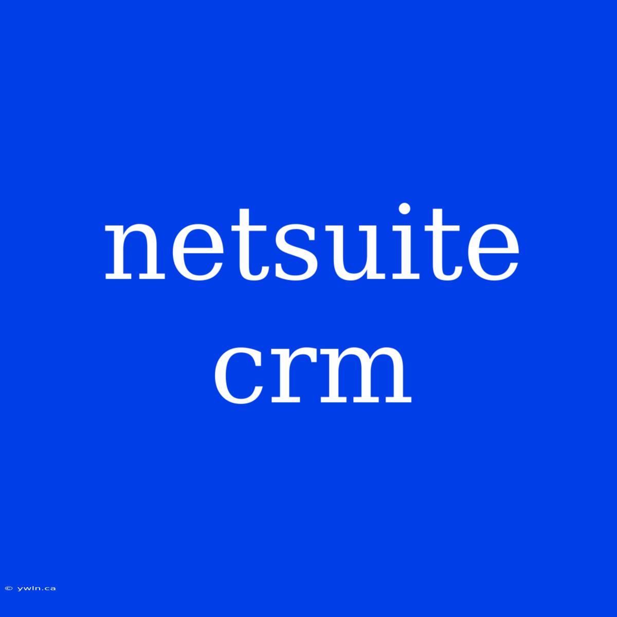 Netsuite Crm