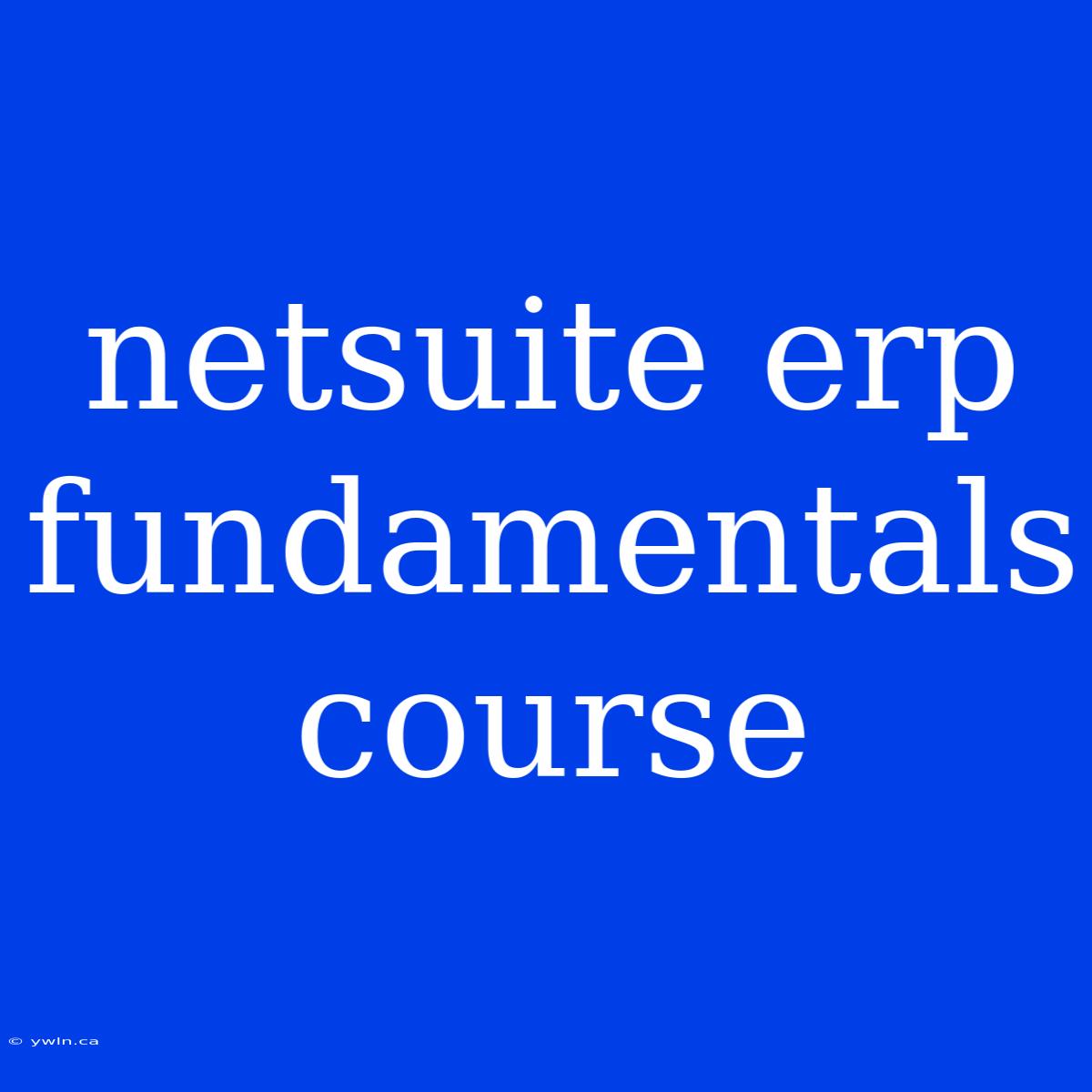 Netsuite Erp Fundamentals Course