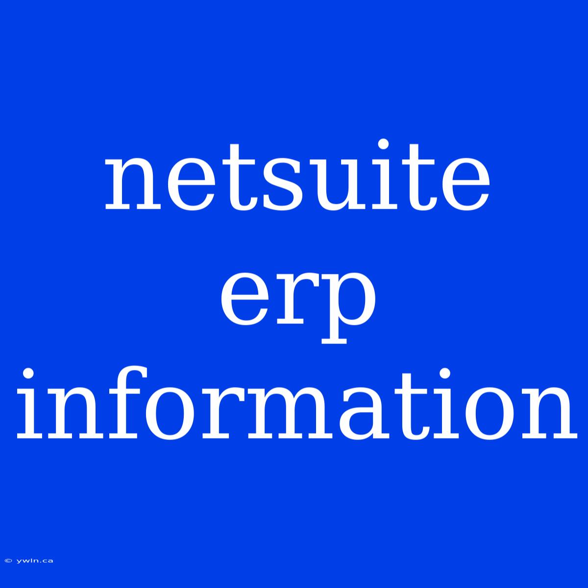 Netsuite Erp Information