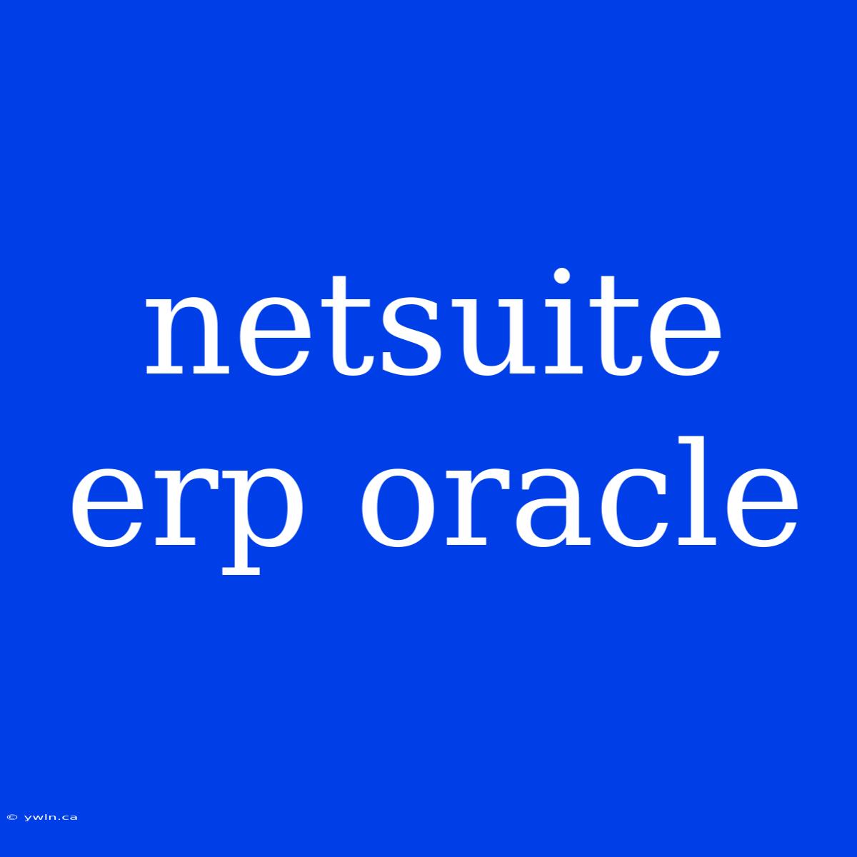 Netsuite Erp Oracle