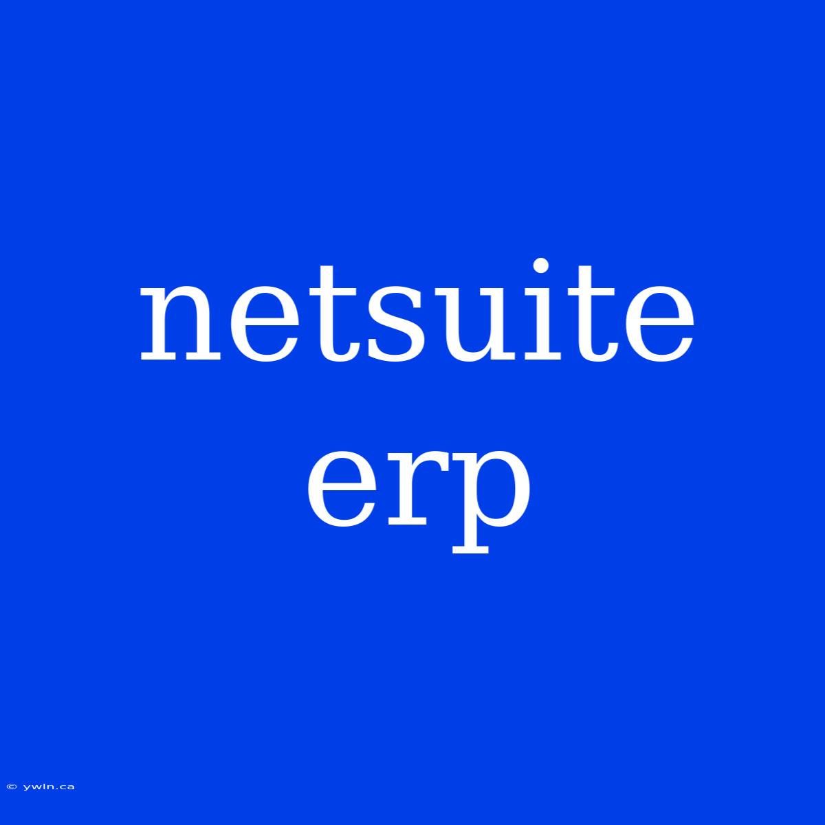 Netsuite Erp