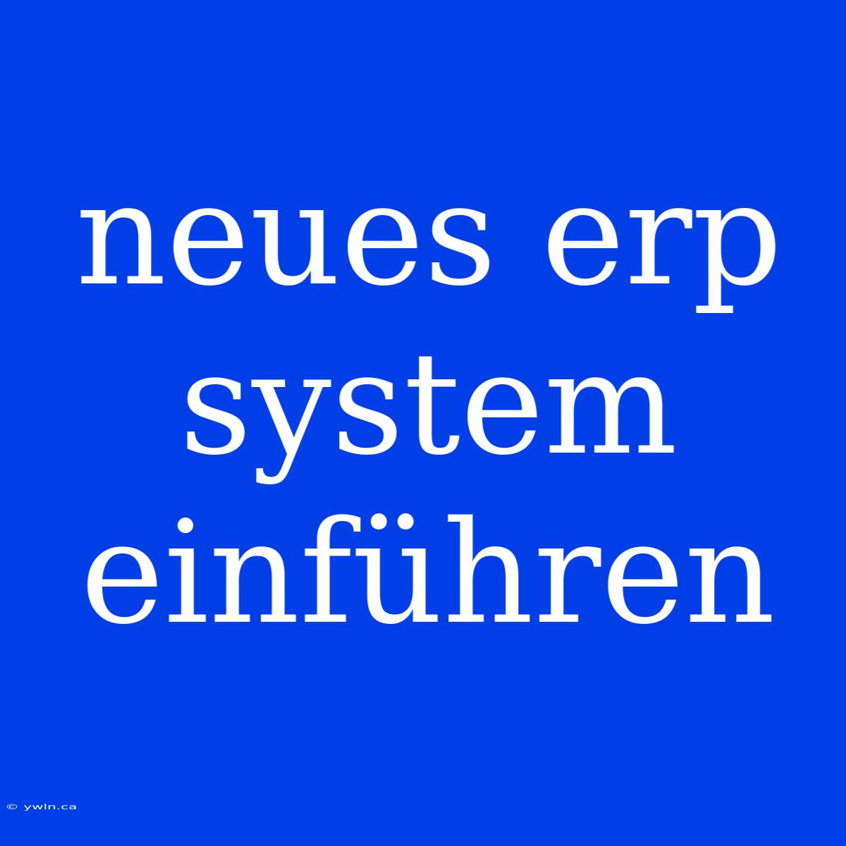 Neues Erp System Einführen