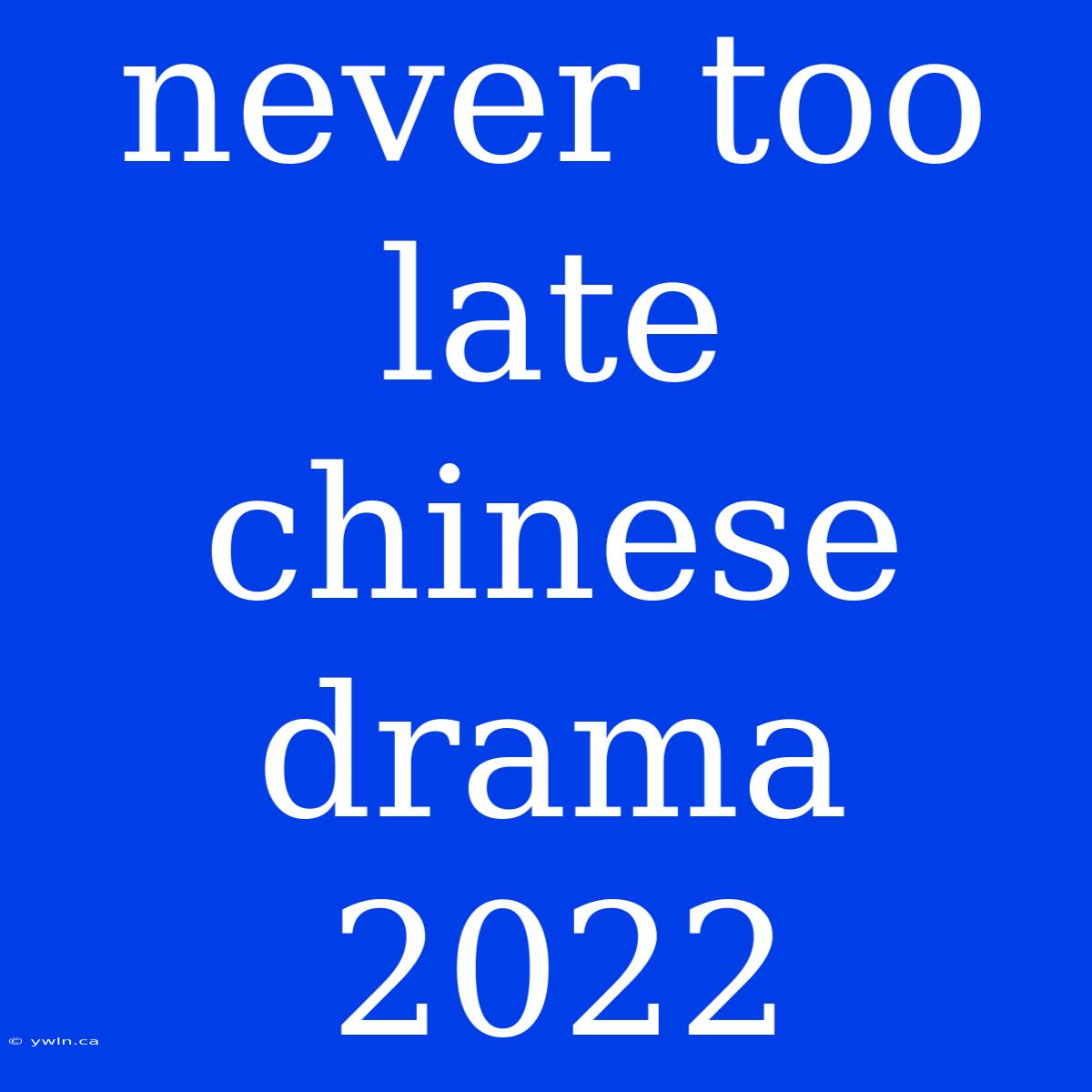 Never Too Late Chinese Drama 2022