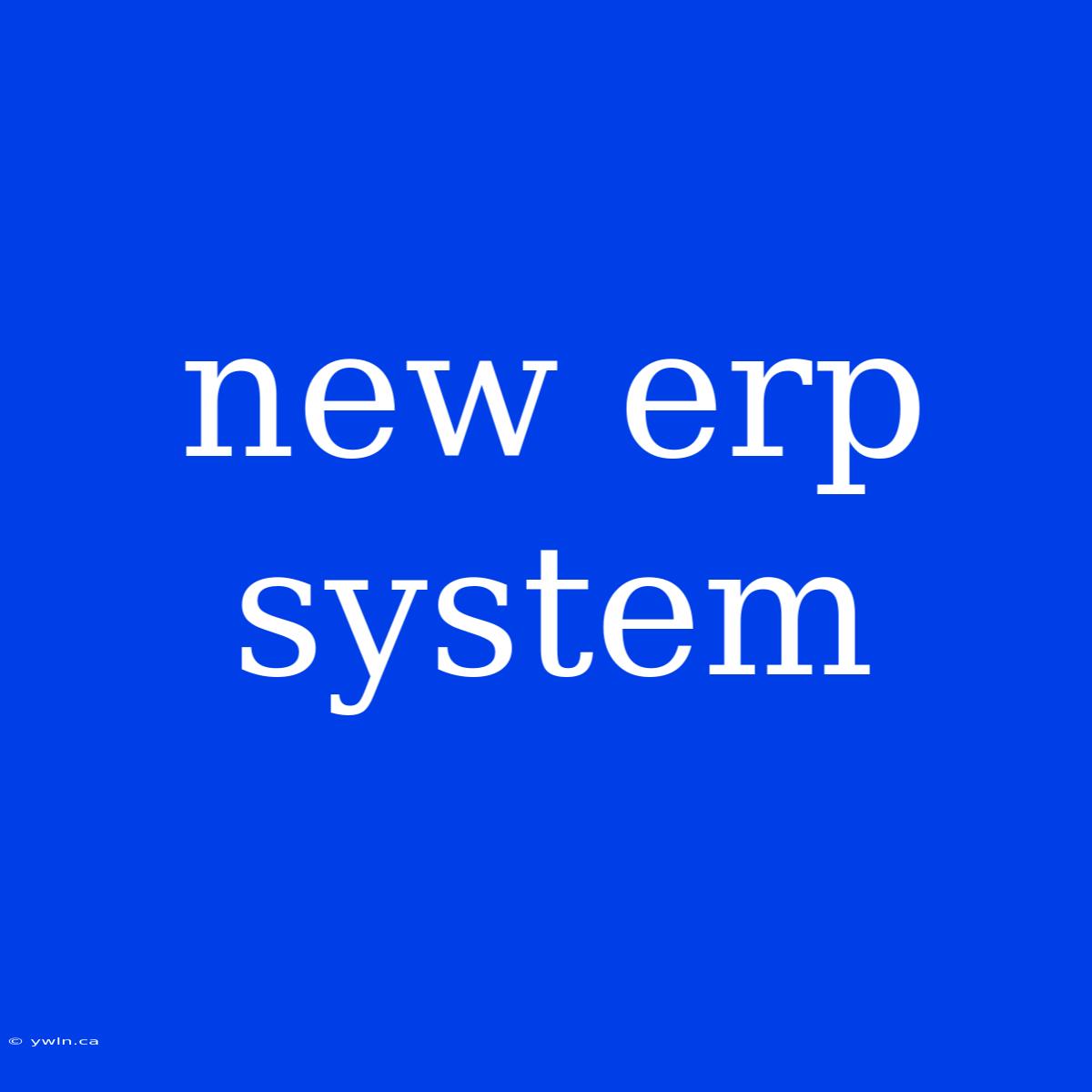 New Erp System