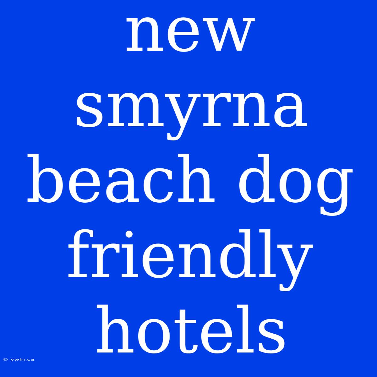 New Smyrna Beach Dog Friendly Hotels