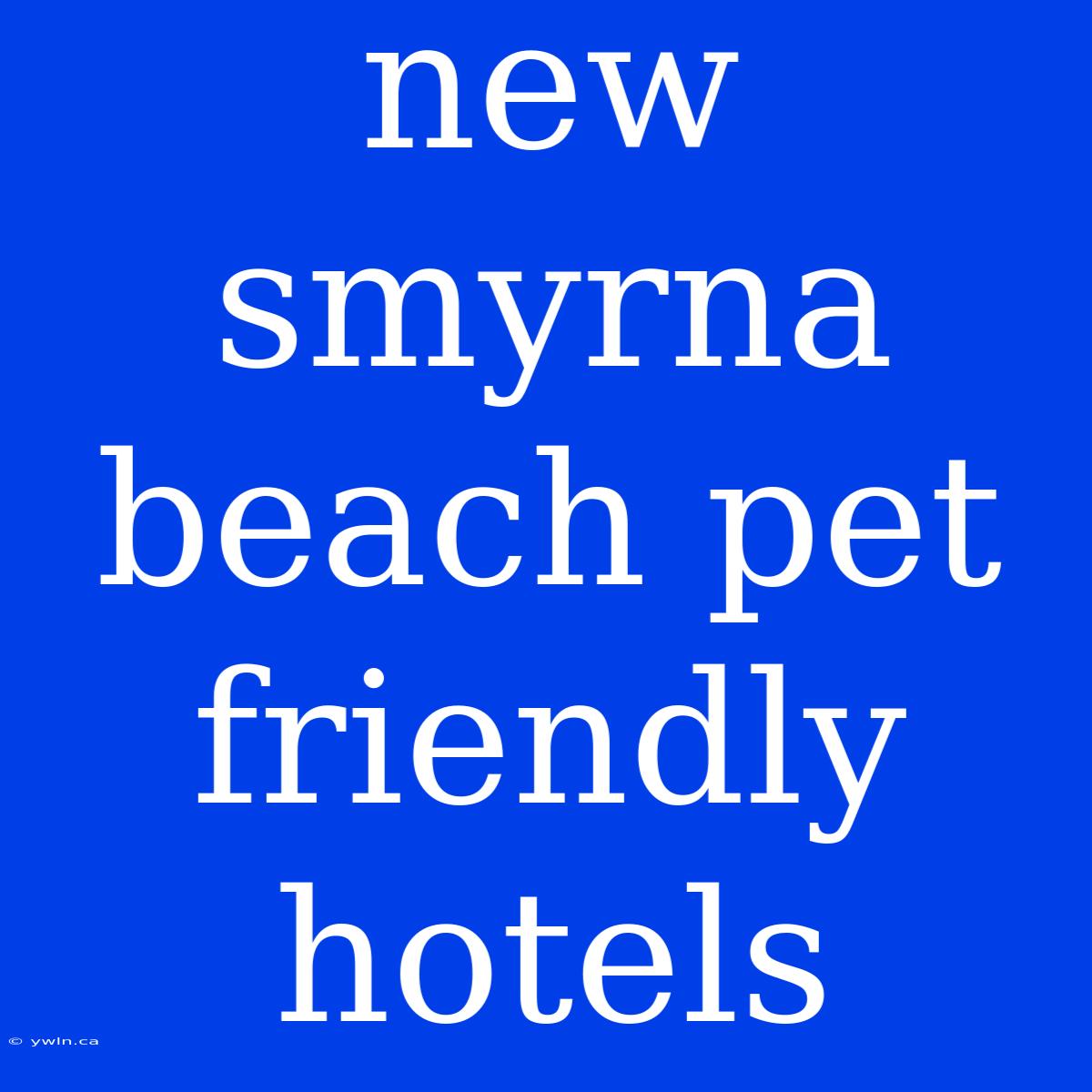 New Smyrna Beach Pet Friendly Hotels