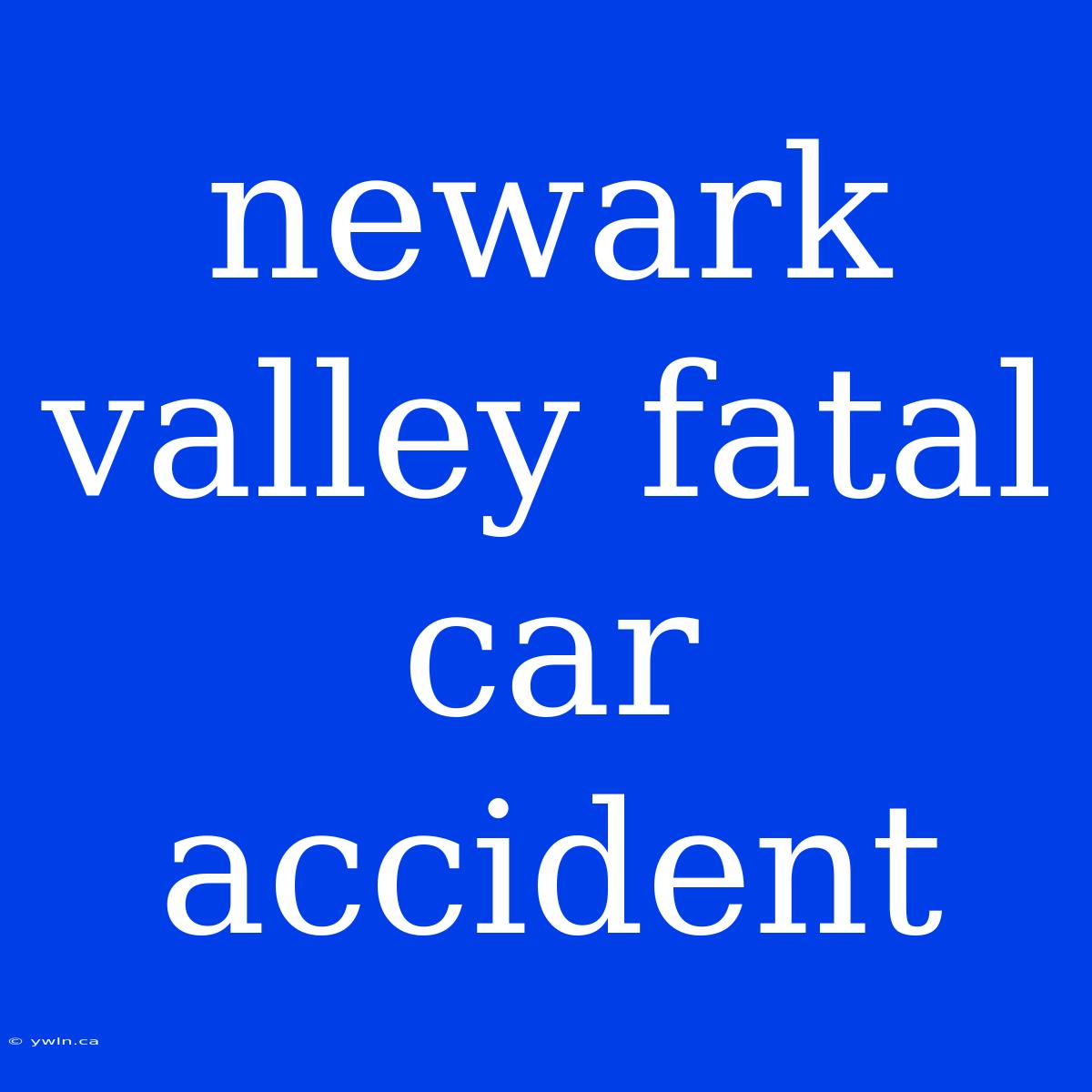 Newark Valley Fatal Car Accident