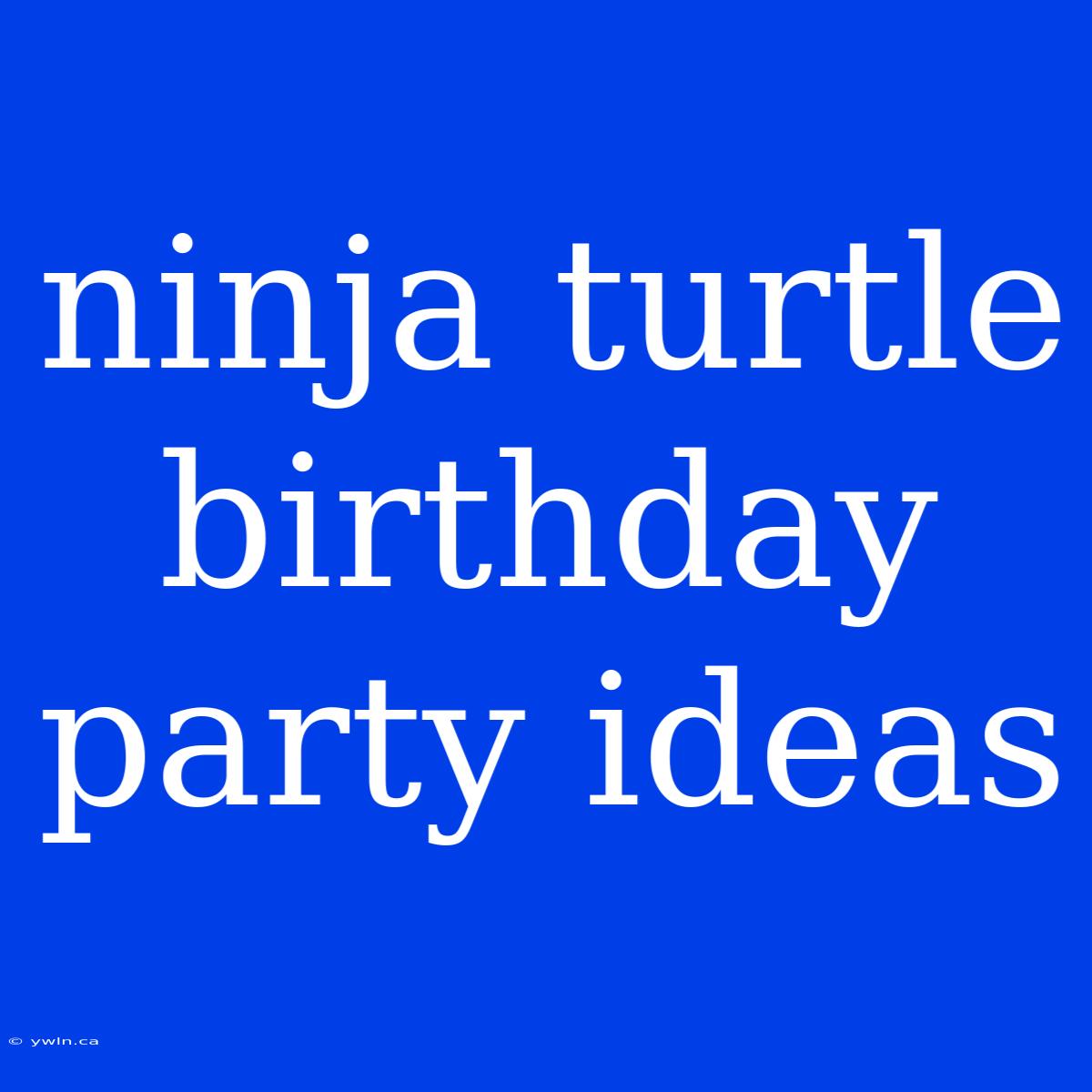 Ninja Turtle Birthday Party Ideas