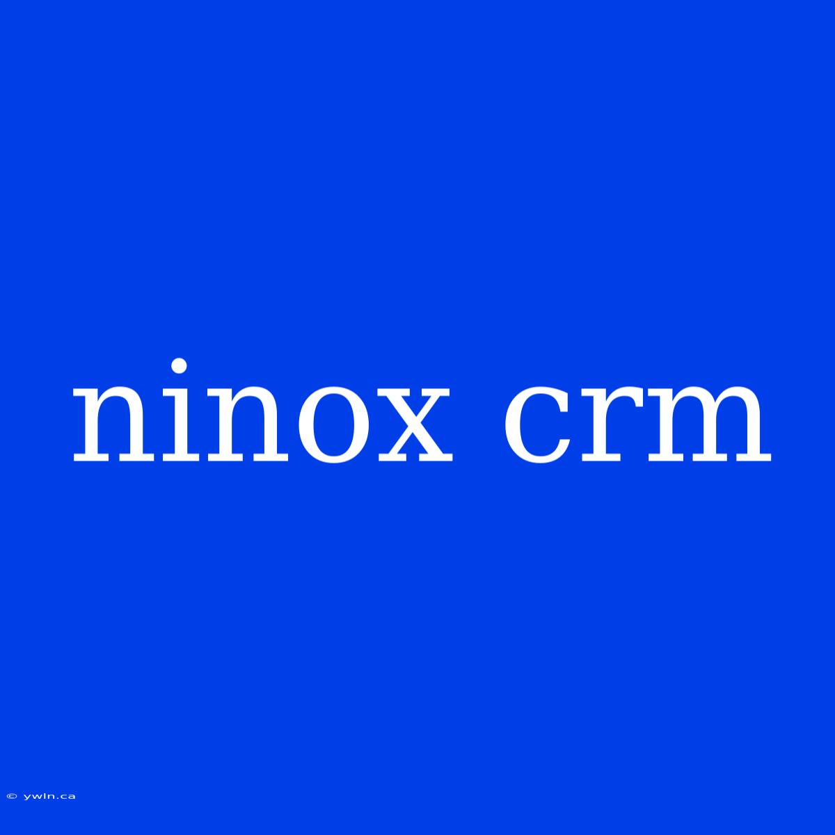 Ninox Crm