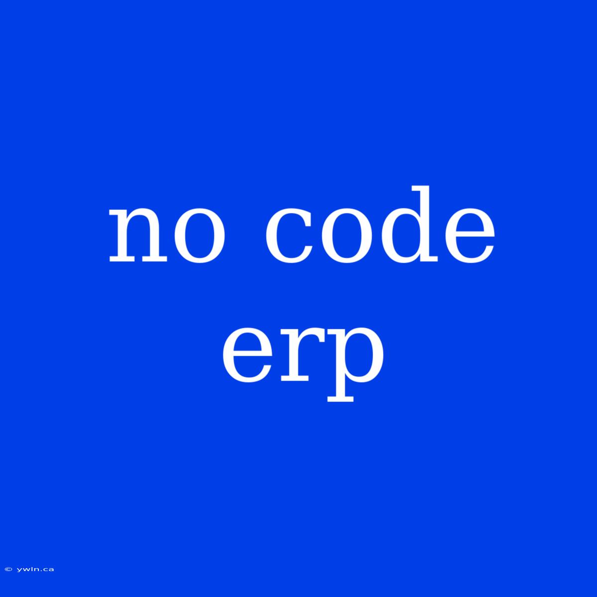 No Code Erp