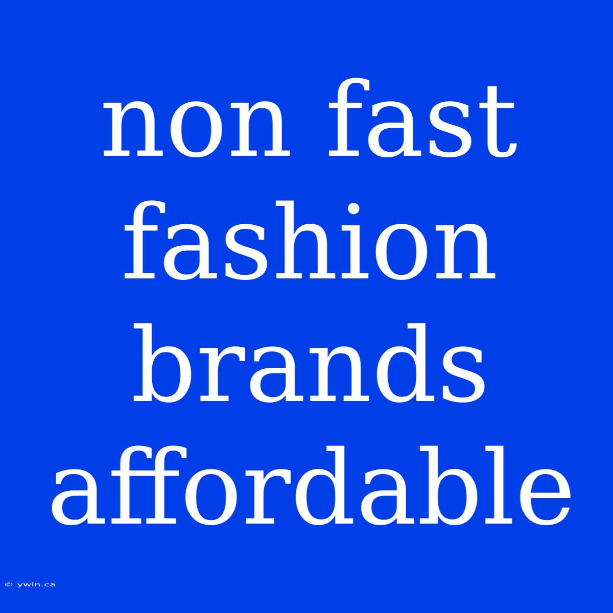 Non Fast Fashion Brands Affordable