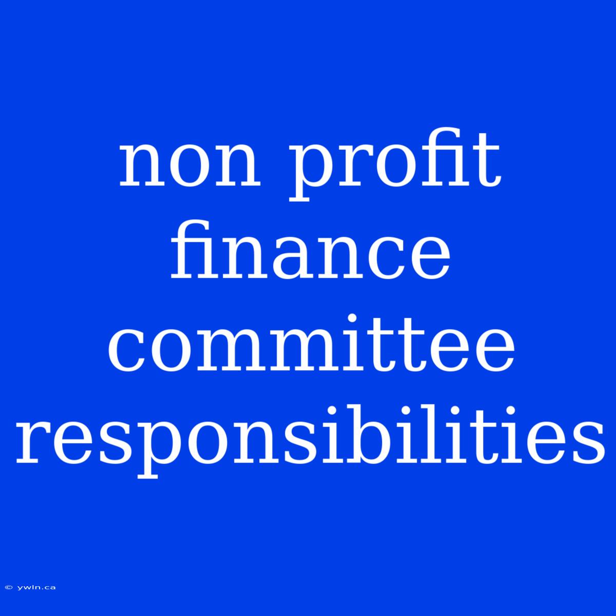 Non Profit Finance Committee Responsibilities