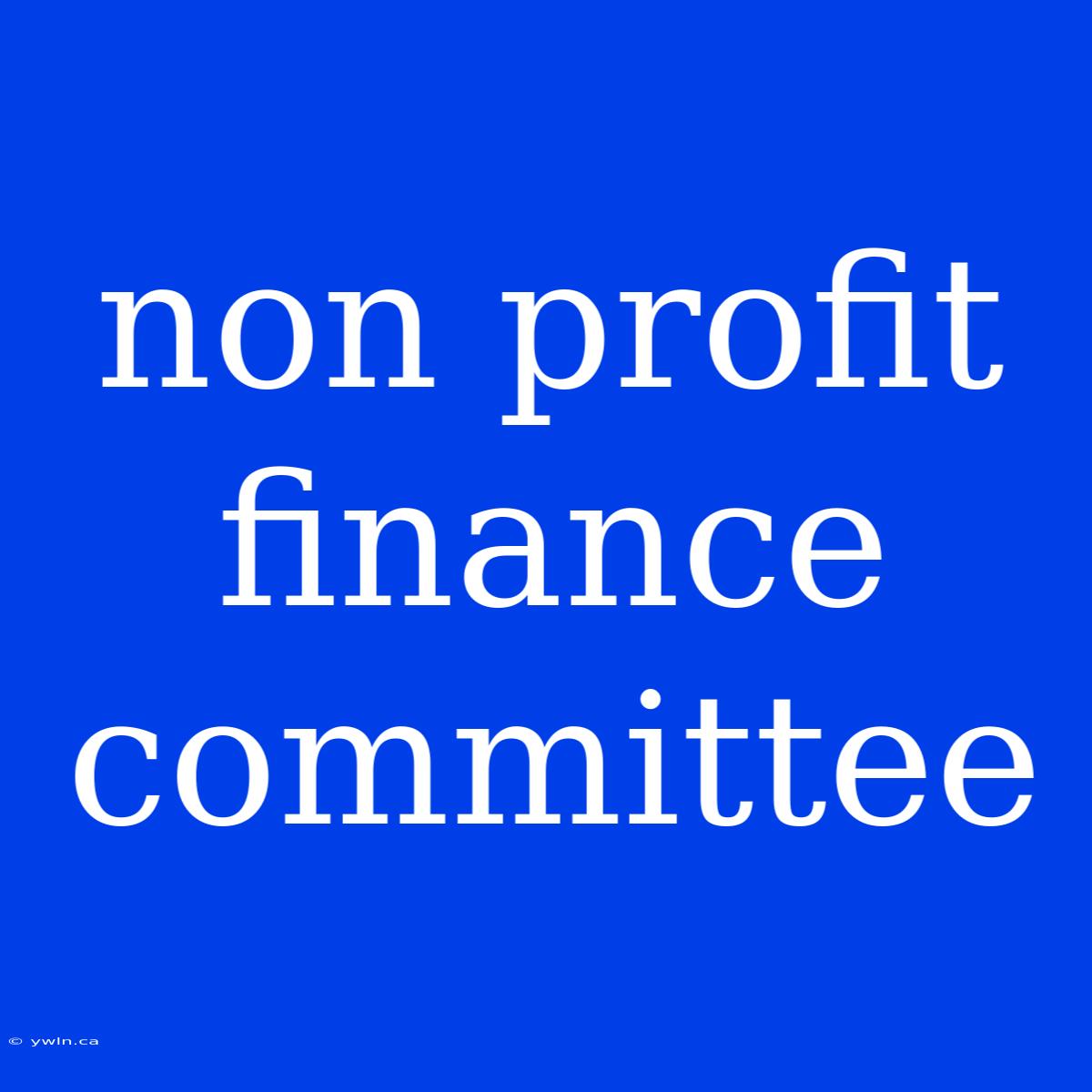 Non Profit Finance Committee