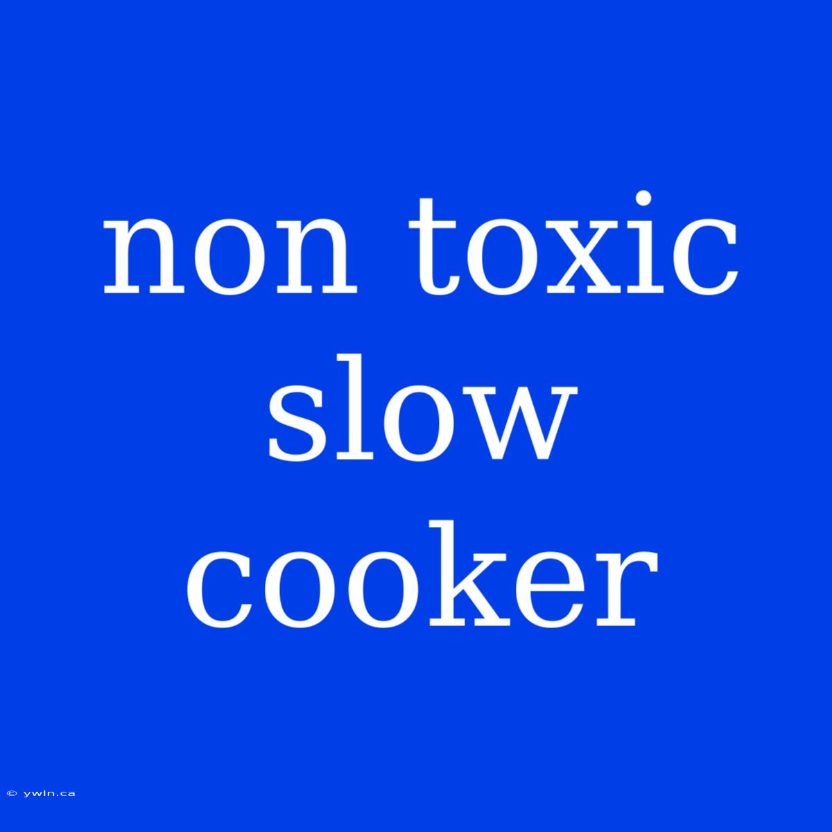 Non Toxic Slow Cooker