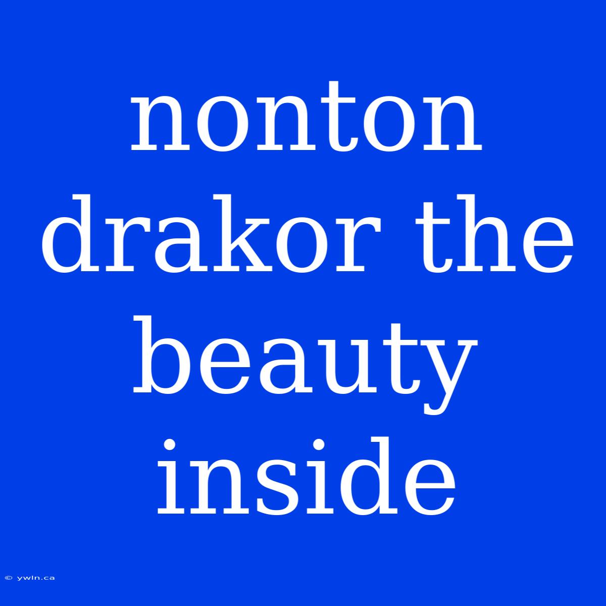 Nonton Drakor The Beauty Inside