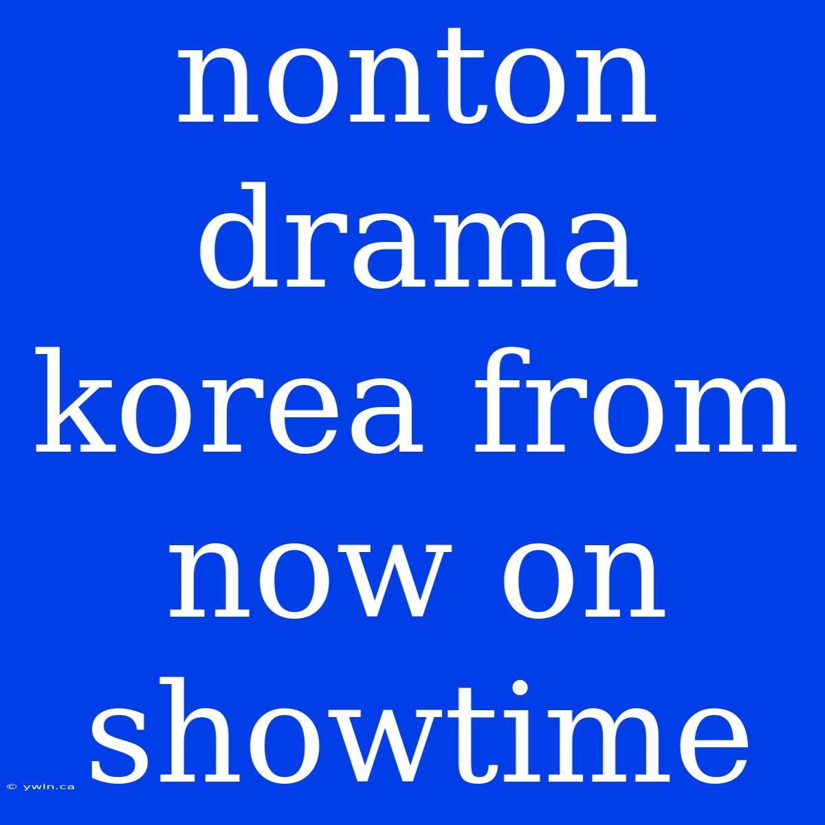 Nonton Drama Korea From Now On Showtime